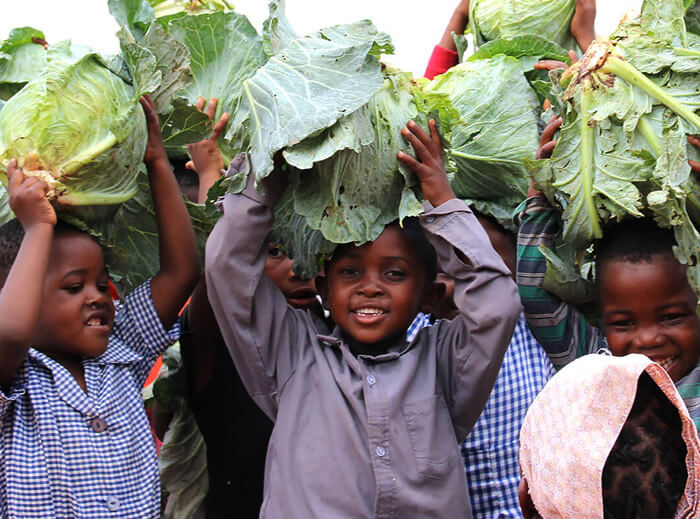 Feeding Children